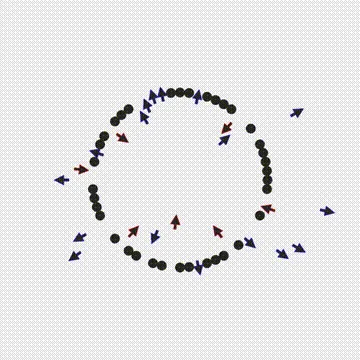 Item #74473775120873789690570114478068957850649193022340425306413522440676305797121 Media