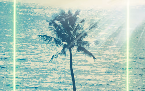 Item #22584162538475775727907880938575686115750307770774424269557543301162104520705 Media