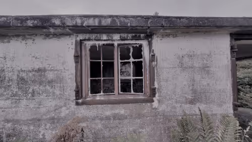 Item #13473500973687785898796463285955460631407349614781281766798596476120552439809 Media