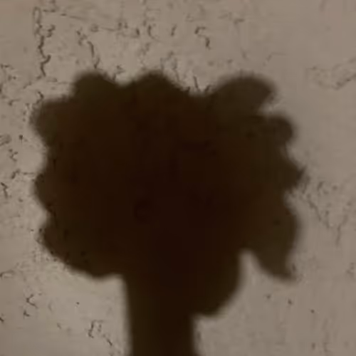 85906662622493889269525054120390254351192400408264024505621426709821703323649