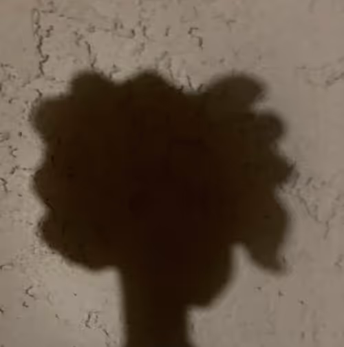 Item #85906662622493889269525054120390254351192400408264024505621426709821703323649 Media