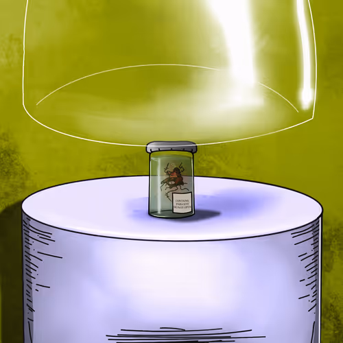 Item #24676067168319247841047234120788951702981957427274227053484940232042385244161 Media