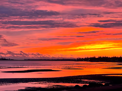 Item #44100607616184526410662414915687006809759328880516455582196249738135958716417 Media