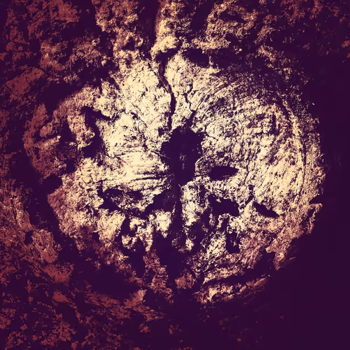 Item #75161883085366100123449825660460491796421375426446498585875262835665821237249 Media