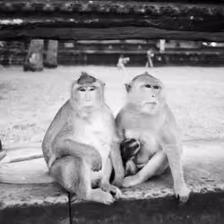 Glimpses of Angkor Wat #4