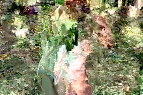 Item #27175538774817670301981119189846699523933914292239667168195015547752936374273 Media