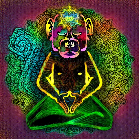 Item #45672992005907757268985552392423342694169509694579076490924614509402393673729 Media