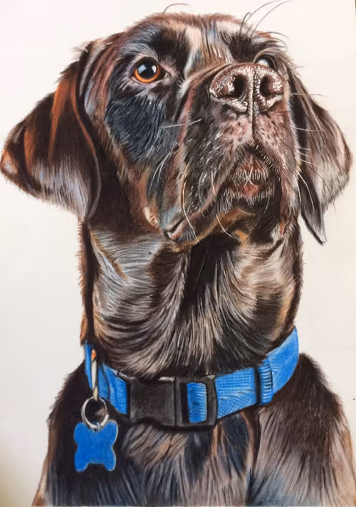 Item #94633138191450171774936613272738146477458314748765306219033551096871242432513 Media