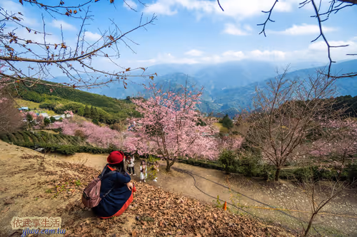 Item #100744422725674417057824683306763013505668843176654858816283483967016885288961 Media