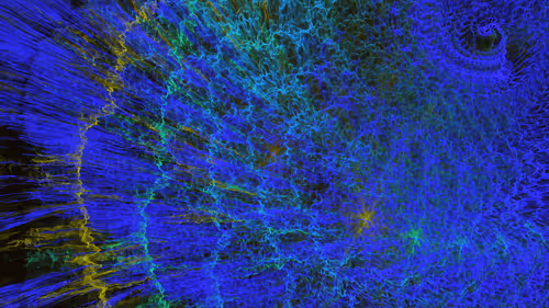 Item #4131897813448906462745634582915602247361068042784661963119482904317341466625 Media