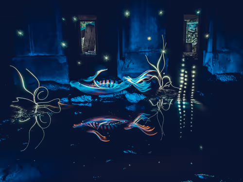 Item #114520185407821149204581307009181391760561859440781731159450127366018109014017 Media