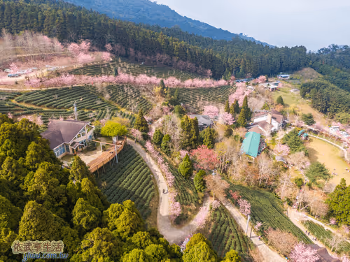 Item #100744422725674417057824683306763013505668843176654858816283483995604187611137 Media