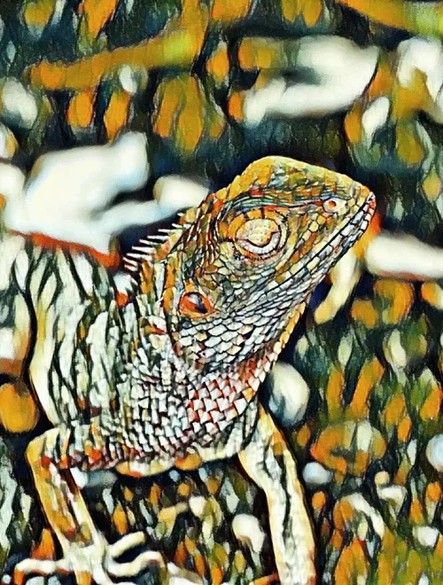 Item #5929750499633082115139289543257221213322642509502930532570952039233765769217 Media