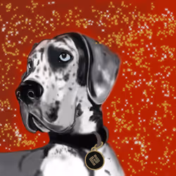 91689843230696245992439202350247333357783521144544667404119791326336978518017