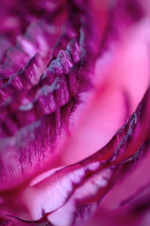 Item #24632583837492670092599633934589483131746797002802219579488358136038473859073 Media