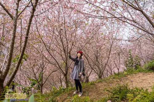 Item #100744422725674417057824683306763013505668843176654858816283484014295885283329 Media