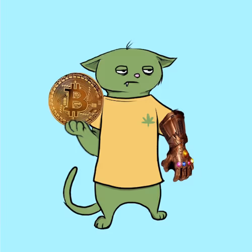 Item #104925294595494108408430030632166140313480290472247956725363841490329672876033 Media