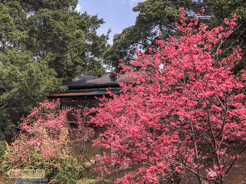 Item #100744422725674417057824683306763013505668843176654858816283483936230559711233 Media