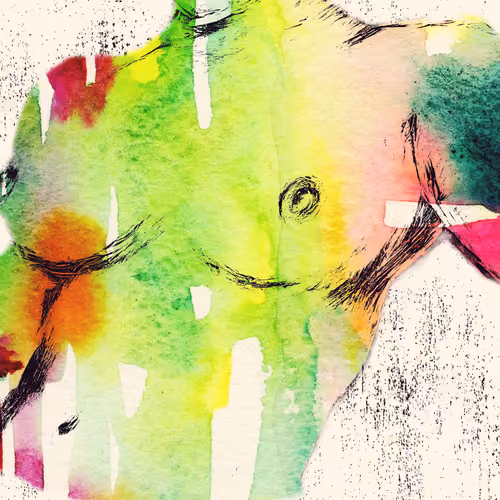 Watercolor Beautiful 