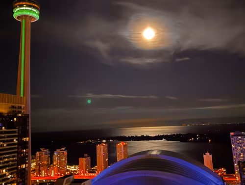 Item #33261409280827848890636833313665954217119010705453802455397167671192055709700 Media