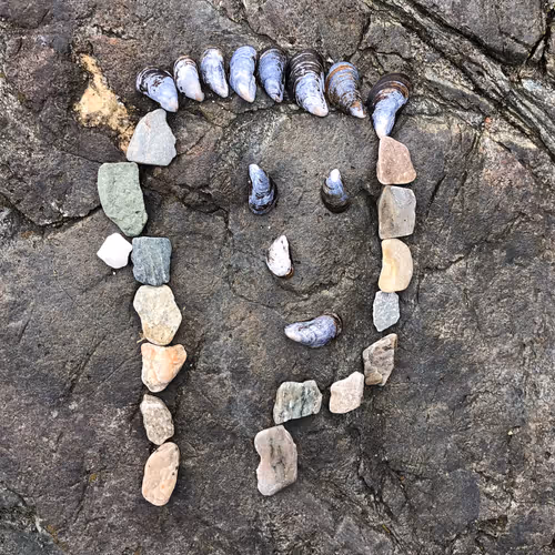 Item #98107617753721193587173935520703534334244090805083319737588344771093093941249 Media