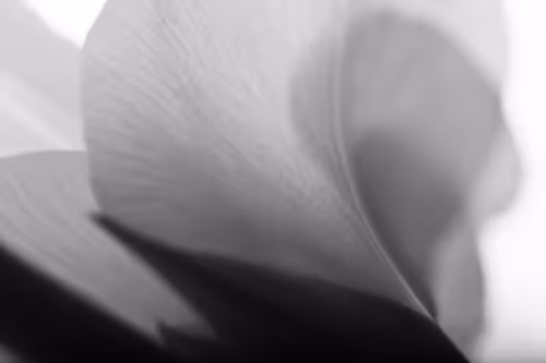 Item #102332330010392241424483100560917049247298654134596954223831831437323144265729 Media