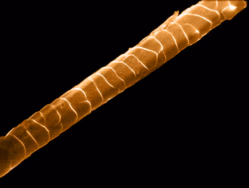 Item #115505927728344181025262329658899620468765138243295584093365708440781241450497 Media