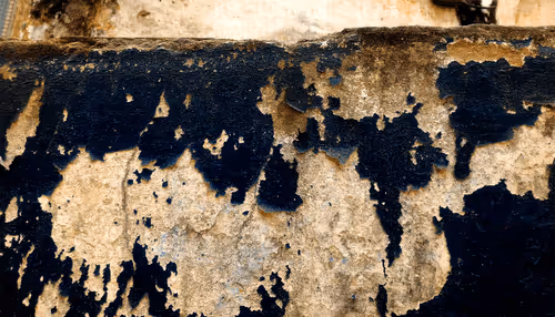 Item #77837778009088564188174628045169397065653229955612462896383264960429961510913 Media