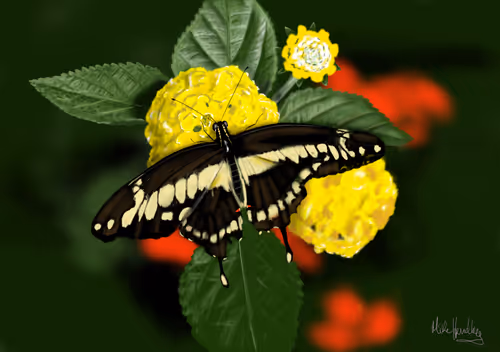 Item #39421720859211354598059957797071189726995094898407091321274451944071722172417 Media