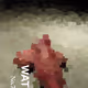112901328758591536811638678805019270310024114958917821241935947365336995594241