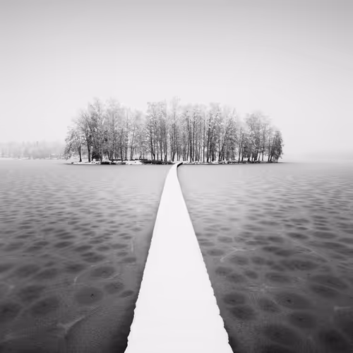 Item #101547054933813335062644925459541226737619958059144835271274916365223388512257 Media