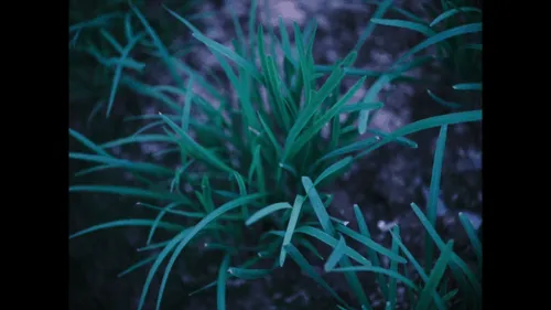 Item #4856346483299859622740228156707386111089389456230392766181717274998360506369 Media