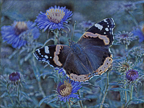 Item #75164984898551115248887010361709320867309151549896276985250492807477226110977 Media