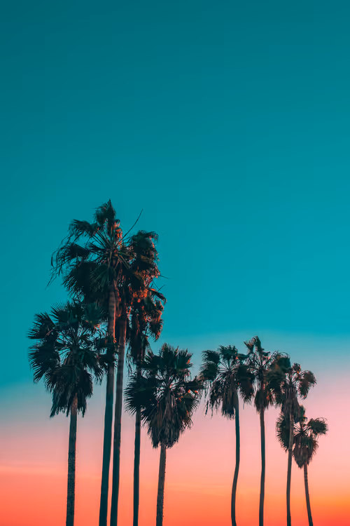 Item #35557780727049604459658880725917592814256363748111026780455796833270406053889 Media