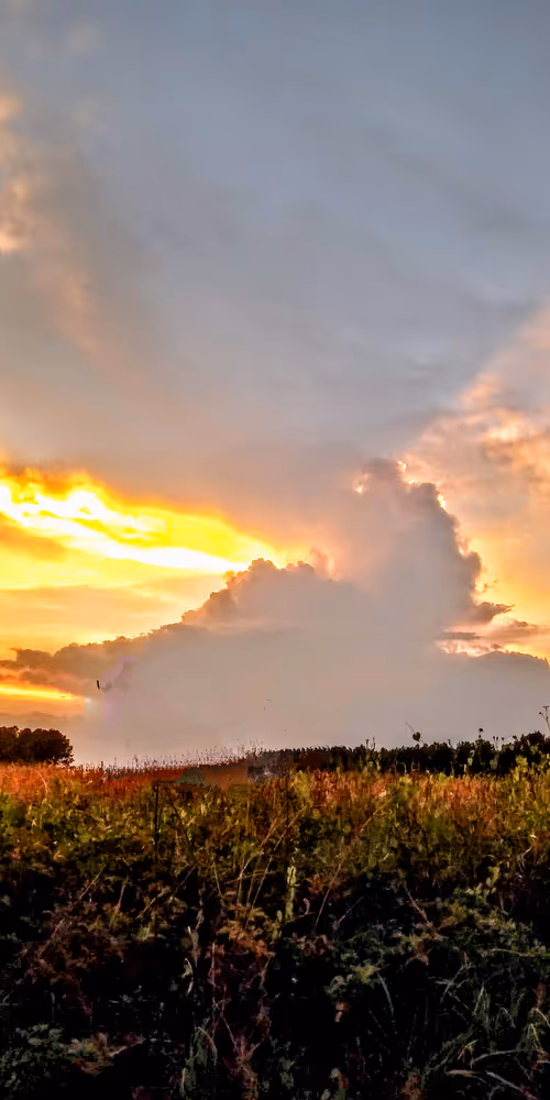 Item #7142574194470404243392590672179659391968725900228458481778768101241002131457 Media