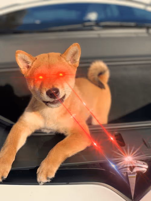 Item #4583203688154496710464576617550160289260541301864270714739251215346496962561 Media