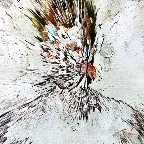 Item #52360593444532269697561379182365543882116381310986264414903912050252935331841 Media