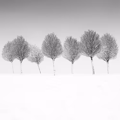 Item #101547054933813335062644925459541226737619958059144835271274916331138528051201 Media