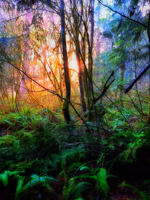 Item #54622431520615473389070195049435974225747667670160266129146791731426203009025 Media