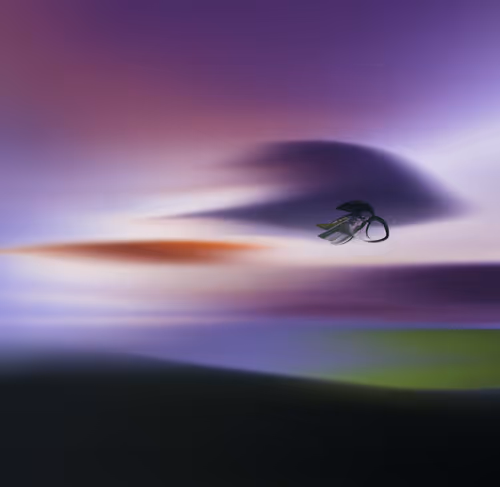 Item #68191600805378060994990530553063317050227610382649141130787624748416866713601 Media