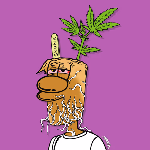 Item #50666731051625359108649399520723555422352939803752131683251305493783675666433 Media