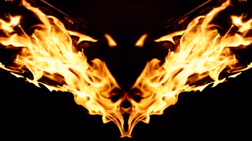 Item #103339499658907074455911852821514679659062129792359254936295356926990990966785 Media