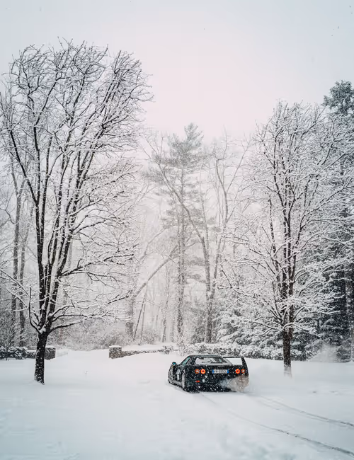 Item #31306949431079082875472894456006319516026694367471683219785722322227382190081 Media