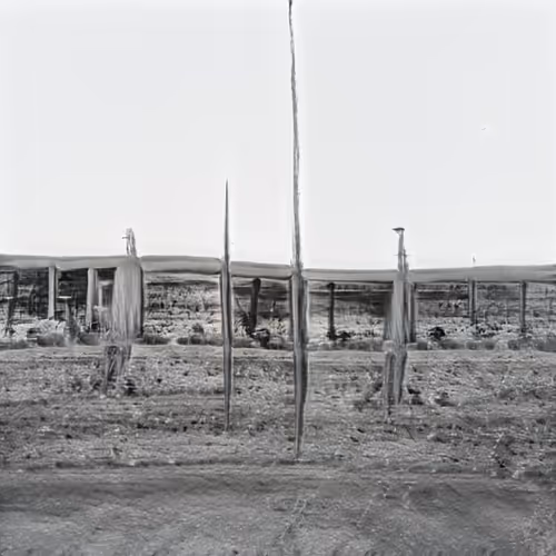 Item #73724818649129063820235598206561371886453496413816980326598328366898828279809 Media