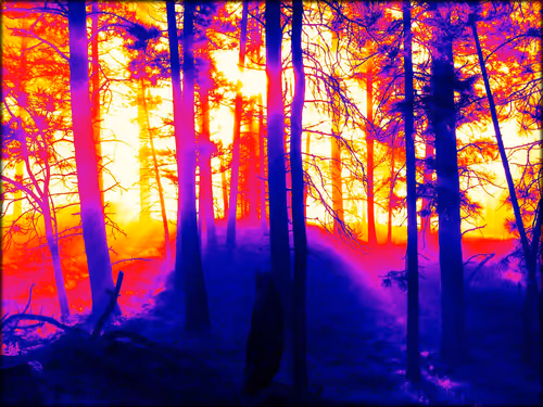 Item #68619026560193516405267034579072177316016002989638126605716032563256731107329 Media