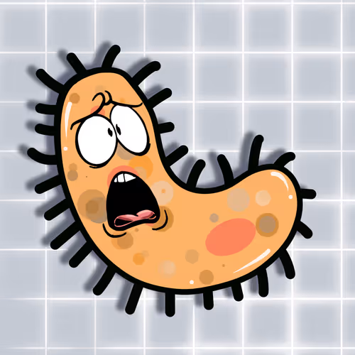 Item #77430436510531877776814311335486126084581239055120565824270562186506014818305 Media