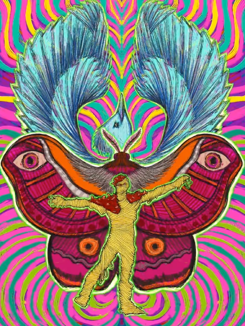 Item #72035098637782058043246323675795008698676989594258379374339883843987198443521 Media