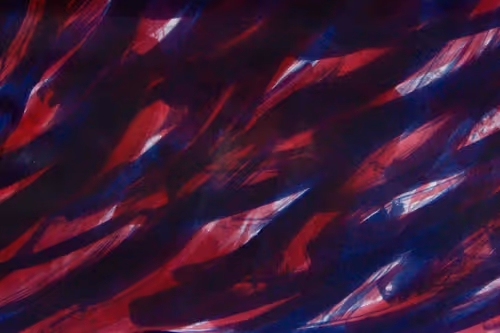 Item #23953230745994406582939997092897091351371610828269103110916008712946053021697 Media