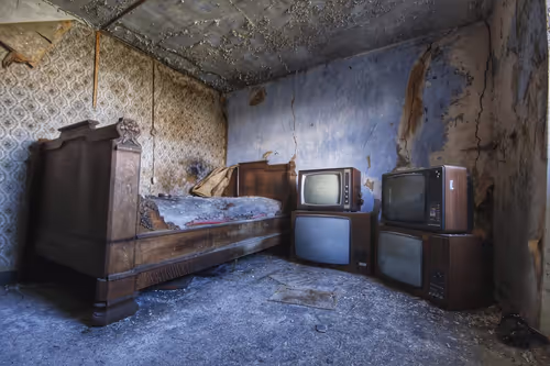 Item #115580021056458323249970483924019338162436996338766547048195908553533737140225 Media