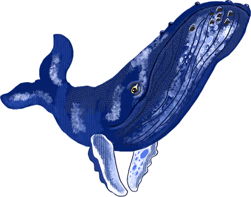 Item #92046171098520253859263355279832343866623274562725454709876288820197948653569 Media